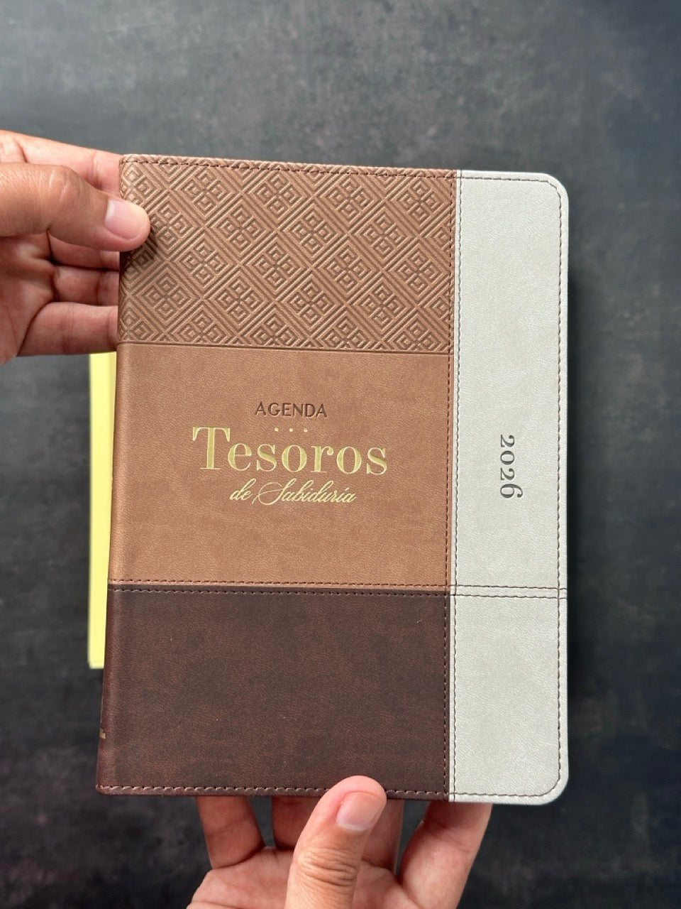 Agenda Tesoros 2026